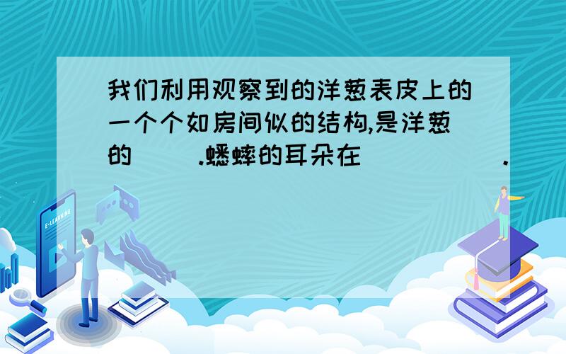 我们利用观察到的洋葱表皮上的一个个如房间似的结构,是洋葱的( ).蟋蟀的耳朵在 (     )。