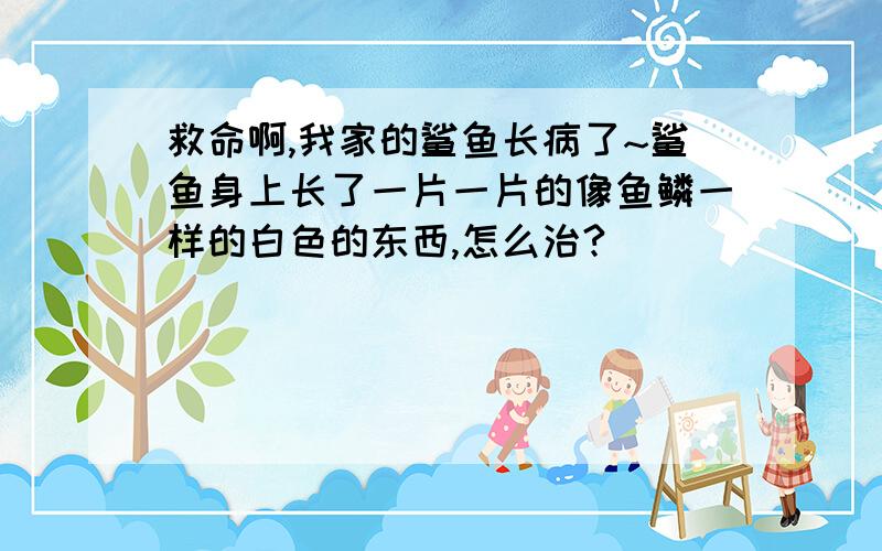 救命啊,我家的鲨鱼长病了~鲨鱼身上长了一片一片的像鱼鳞一样的白色的东西,怎么治?