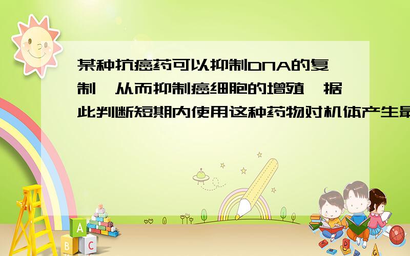 某种抗癌药可以抑制DNA的复制,从而抑制癌细胞的增殖,据此判断短期内使用这种药物对机体产生最明显的副作用是A．影响神经递质的合成,抑制神经系统的兴奋 B．影响胰岛细胞合成胰岛素,造