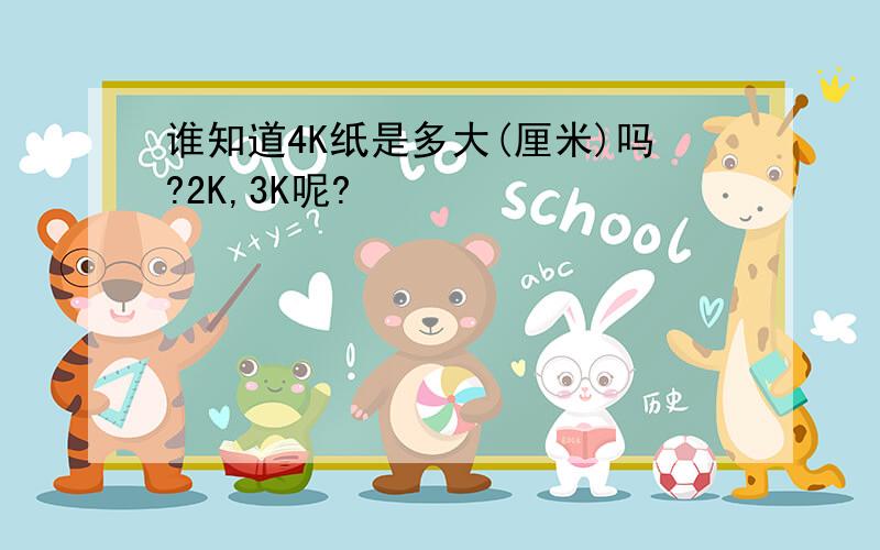 谁知道4K纸是多大(厘米)吗?2K,3K呢?