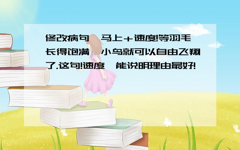 修改病句…马上＋速度!等羽毛长得饱满,小鸟就可以自由飞翔了.这句!速度…能说明理由最好!