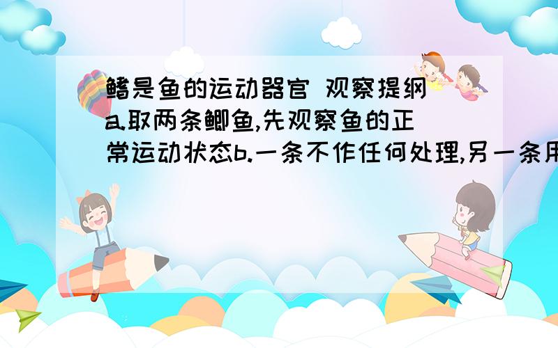 鳍是鱼的运动器官 观察提纲 a.取两条鲫鱼,先观察鱼的正常运动状态b.一条不作任何处理,另一条用木条和纱布分别固定鱼鳍,固定后静置1-2分钟观察,记录鱼的运动情况.c.想一想,减掉鱼鳍又快