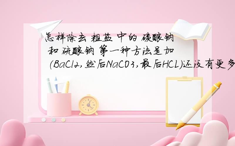 怎样除去 粗盐 中的 碳酸钠 和 硫酸钠 第一种方法是加 （BaCl2,然后NaCO3,最后HCL）还没有更多的正确方法,我在帮我姐找呢,一会就要.高手回答必有重谢!无论方法烦不繁琐都可以,只要是正确的