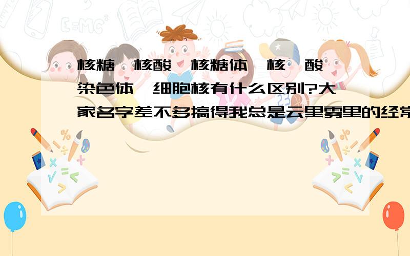 核糖、核酸、核糖体、核苷酸、染色体、细胞核有什么区别?大家名字差不多搞得我总是云里雾里的经常搞混,实在是太无知肤浅了真是不好意思请不要见怪……不知好心人能否将它们的组成