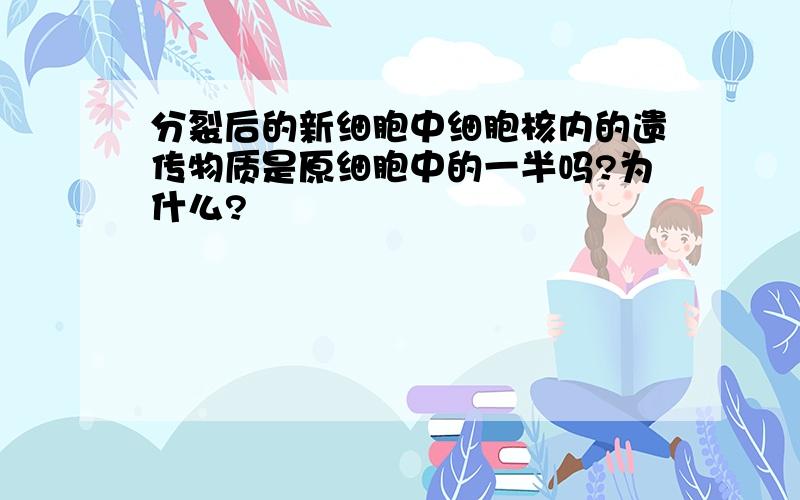 分裂后的新细胞中细胞核内的遗传物质是原细胞中的一半吗?为什么?