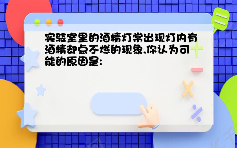 实验室里的酒精灯常出现灯内有酒精却点不燃的现象,你认为可能的原因是: