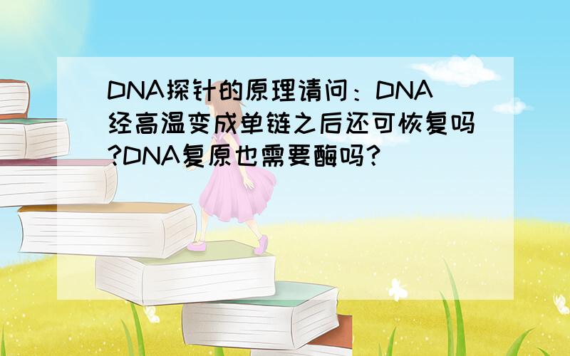 DNA探针的原理请问：DNA经高温变成单链之后还可恢复吗?DNA复原也需要酶吗？