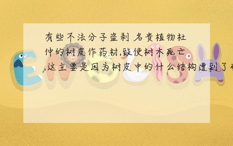 有些不法分子盗剥 名贵植物杜仲的树皮作药材,致使树木死亡,这主要是因为树皮中的什么结构遭到了破坏A.筛管   B.导管   C.髓   D.形成层