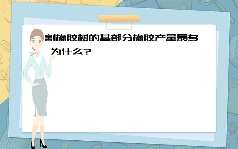 割橡胶树的基部分橡胶产量最多 为什么?