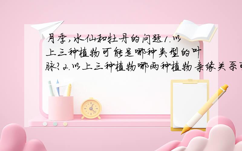 月季,水仙和牡丹的问题1.以上三种植物可能是哪种类型的叶脉?2.以上三种植物哪两种植物亲缘关系可能更近一些?你是根据什么来判断的?