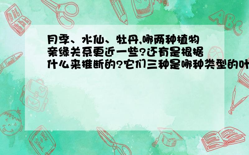 月季、水仙、牡丹,哪两种植物亲缘关系更近一些?还有是根据什么来推断的?它们三种是哪种类型的叶脉?谢谢了