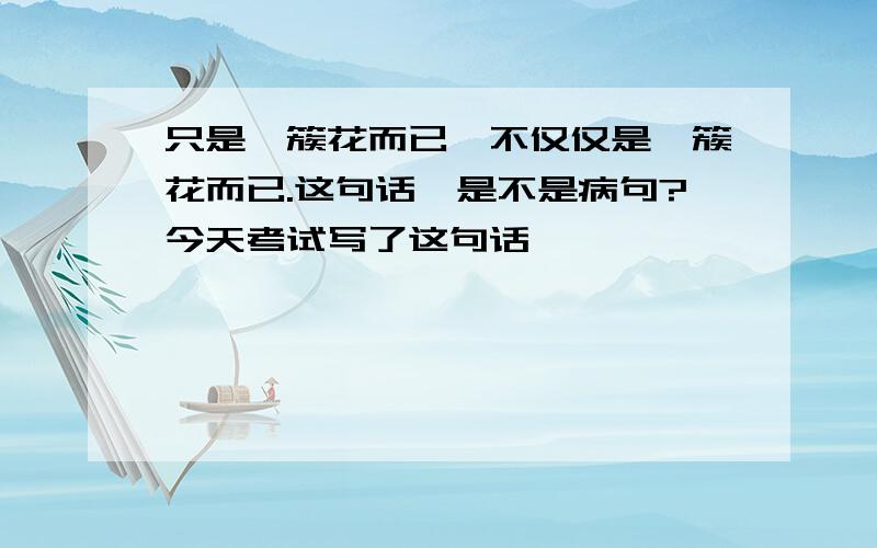 只是一簇花而已,不仅仅是一簇花而已.这句话,是不是病句?今天考试写了这句话,