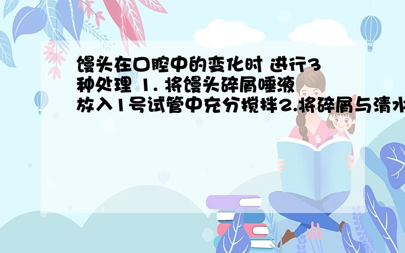 馒头在口腔中的变化时 进行3种处理 1. 将馒头碎屑唾液放入1号试管中充分搅拌2.将碎屑与清水放入2号试管中充分搅拌3.将馒头块与唾液放入3号试管不搅拌1牙齿的咀、舌的搅拌微变量时——