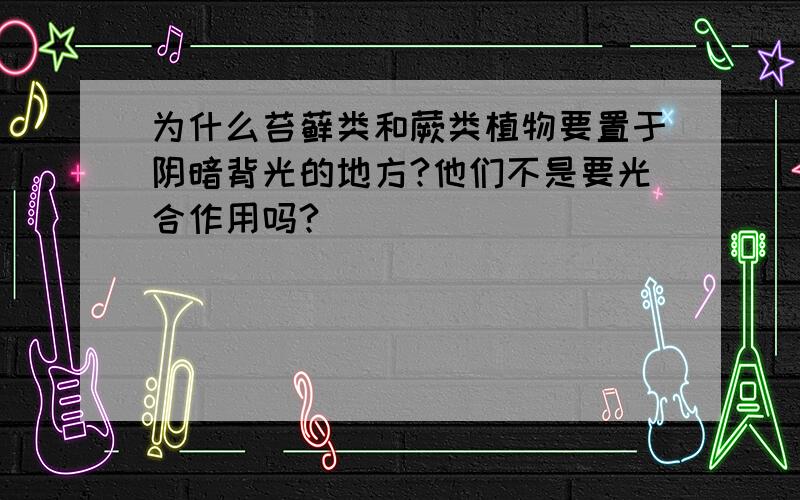 为什么苔藓类和蕨类植物要置于阴暗背光的地方?他们不是要光合作用吗?