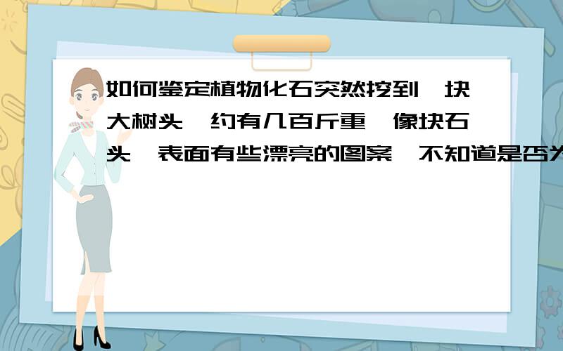 如何鉴定植物化石突然挖到一块大树头,约有几百斤重,像块石头,表面有些漂亮的图案,不知道是否为植物化石?/如果是真的化石,那该如何处理?