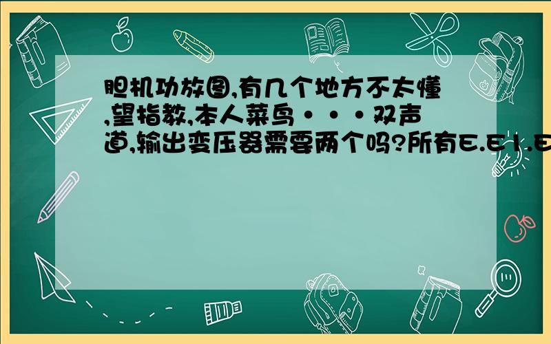 胆机功放图,有几个地方不太懂,望指教,本人菜鸟···双声道,输出变压器需要两个吗?所有E.E1.E2这些地是接入一点吗?这两个箭头接电子管哪个地方,图上怎么没有?这个电源变压器输出该几组电