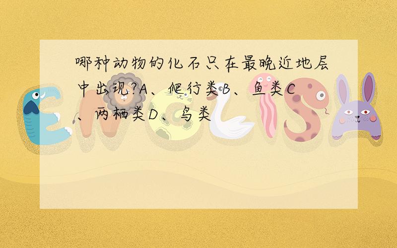 哪种动物的化石只在最晚近地层中出现?A、爬行类B、鱼类C、两栖类D、鸟类