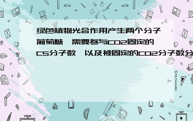 绿色植物光合作用产生两个分子葡萄糖,需要参与CO2固定的C5分子数,以及被固定的CO2分子数分别是多少?过程