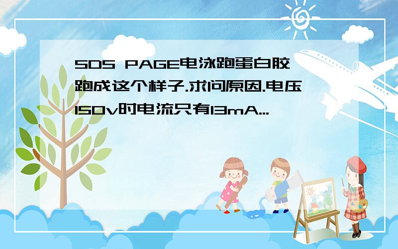 SDS PAGE电泳跑蛋白胶跑成这个样子.求问原因.电压150v时电流只有13mA...