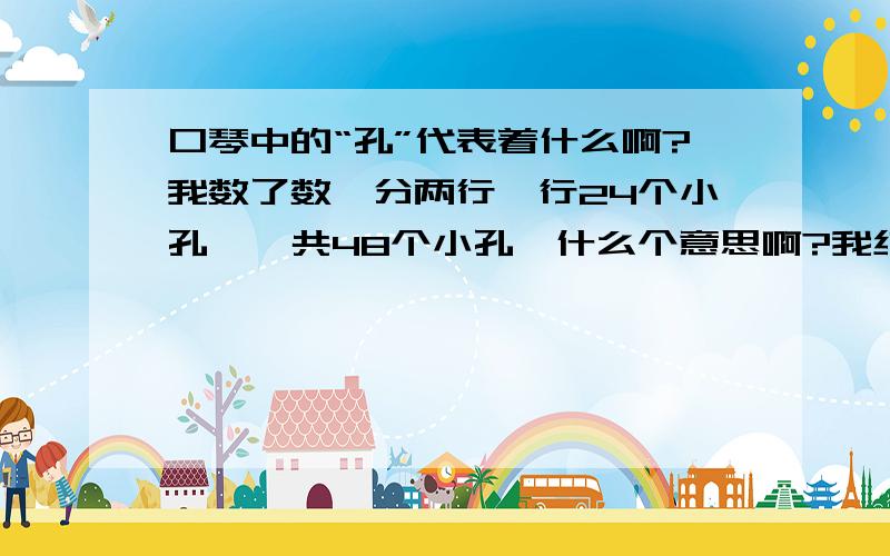 口琴中的“孔”代表着什么啊?我数了数,分两行一行24个小孔,一共48个小孔,什么个意思啊?我纯粹是个菜鸟,连乐谱都不认识,在下感激不尽!要怎么吹1234567啊?好像还有个0,都是干啥的?我找不到