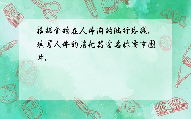 根据食物在人体内的陆行路线,填写人体的消化器官名称要有图片,