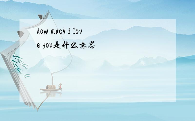 how much i love you是什么意思