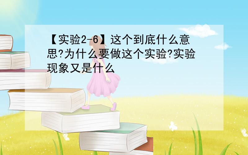 【实验2-6】这个到底什么意思?为什么要做这个实验?实验现象又是什么