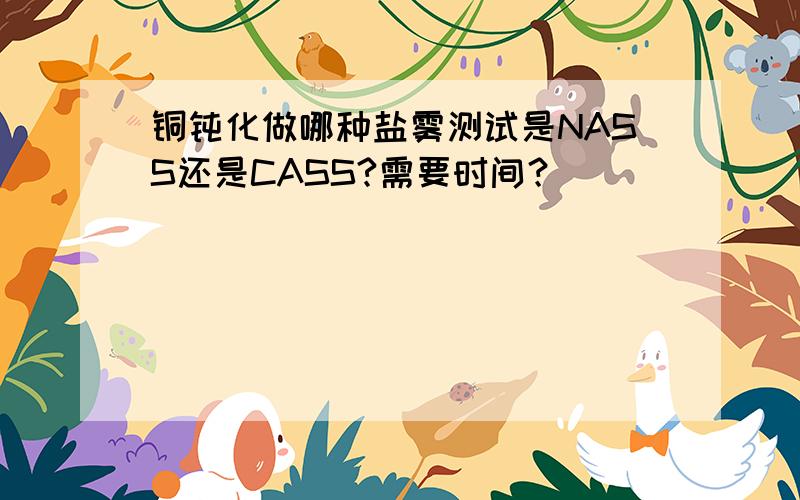 铜钝化做哪种盐雾测试是NASS还是CASS?需要时间？