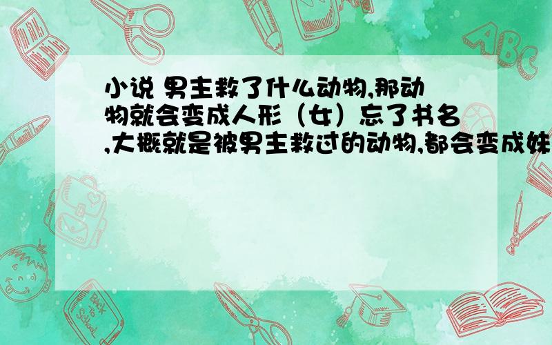 小说 男主救了什么动物,那动物就会变成人形（女）忘了书名,大概就是被男主救过的动物,都会变成妹子然后.呵呵.