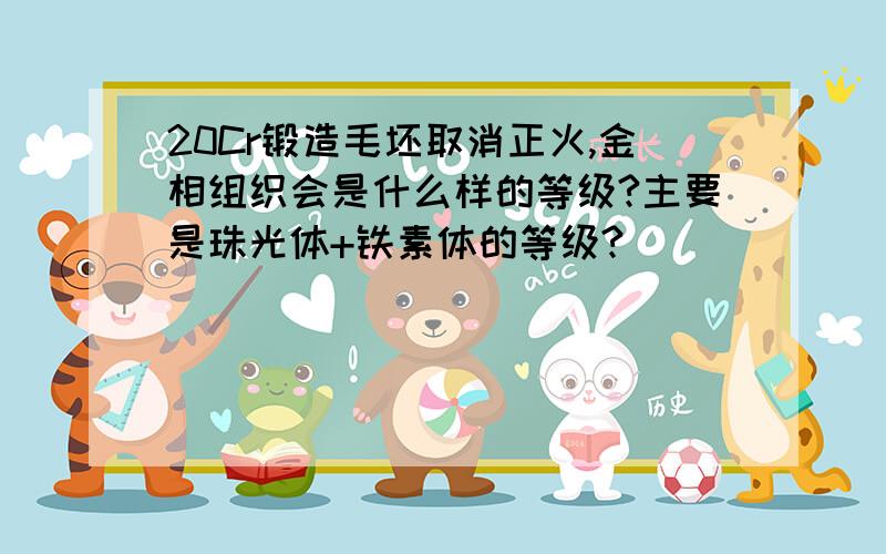 20Cr锻造毛坯取消正火,金相组织会是什么样的等级?主要是珠光体+铁素体的等级?