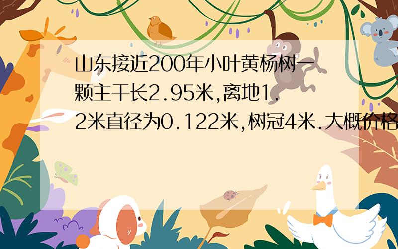 山东接近200年小叶黄杨树一颗主干长2.95米,离地1.2米直径为0.122米,树冠4米.大概价格是多少?大概的年限在170-180