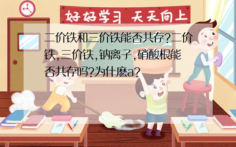 二价铁和三价铁能否共存?二价铁,三价铁,钠离子,硝酸根能否共存吗?为什麽a?