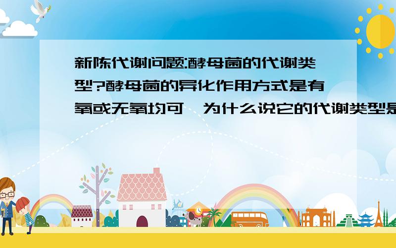 新陈代谢问题:酵母菌的代谢类型?酵母菌的异化作用方式是有氧或无氧均可,为什么说它的代谢类型是兼性厌氧型而不说是兼性需氧型呢?