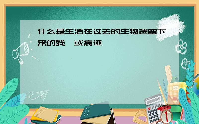 什么是生活在过去的生物遗留下来的残骸或痕迹