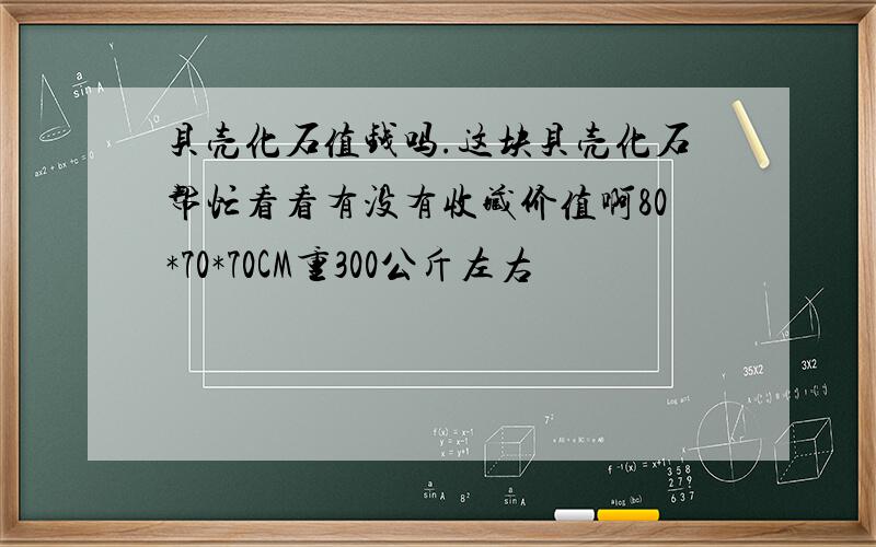 贝壳化石值钱吗.这块贝壳化石帮忙看看有没有收藏价值啊80*70*70CM重300公斤左右