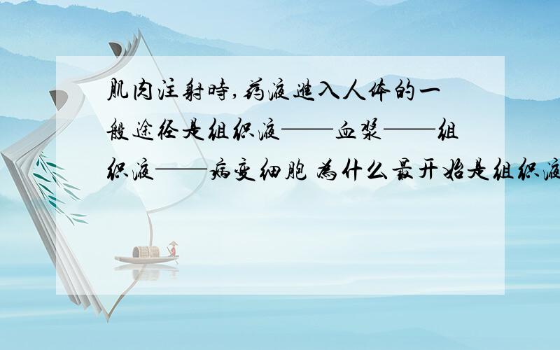 肌肉注射时,药液进入人体的一般途径是组织液——血浆——组织液——病变细胞 为什么最开始是组织液呢?不肌肉注射时,药液进入人体的一般途径是组织液——血浆——组织液——病变细胞