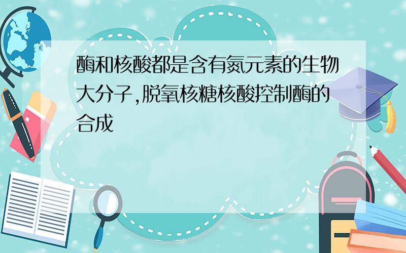 酶和核酸都是含有氮元素的生物大分子,脱氧核糖核酸控制酶的合成