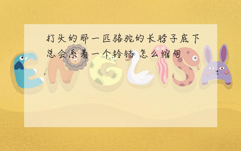 打头的那一匹骆驼的长脖子底下总会系着一个铃铛 怎么缩句