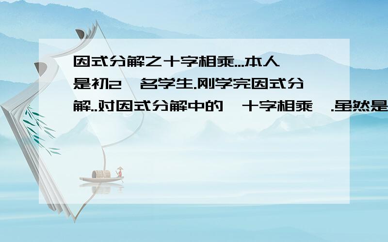 因式分解之十字相乘...本人是初2一名学生.刚学完因式分解..对因式分解中的