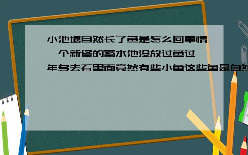 小池塘自然长了鱼是怎么回事情一个新修的蓄水池没放过鱼过一年多去看里面竟然有些小鱼这些鱼是自然就长出来的吗我想知道他们是怎么变出来的