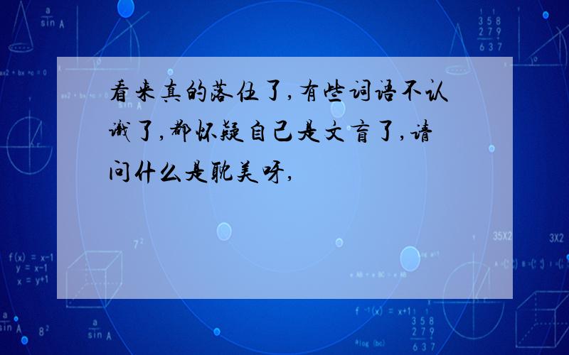 看来真的落伍了,有些词语不认识了,都怀疑自己是文盲了,请问什么是耽美呀,