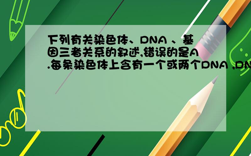 下列有关染色体、DNA 、基因三者关系的叙述,错误的是A.每条染色体上含有一个或两个DNA ,DNA 分子上含有多个基因B.生物的传种接代中,染色体的行为决定着DNA和基因的行为 C.三者都是生物细胞