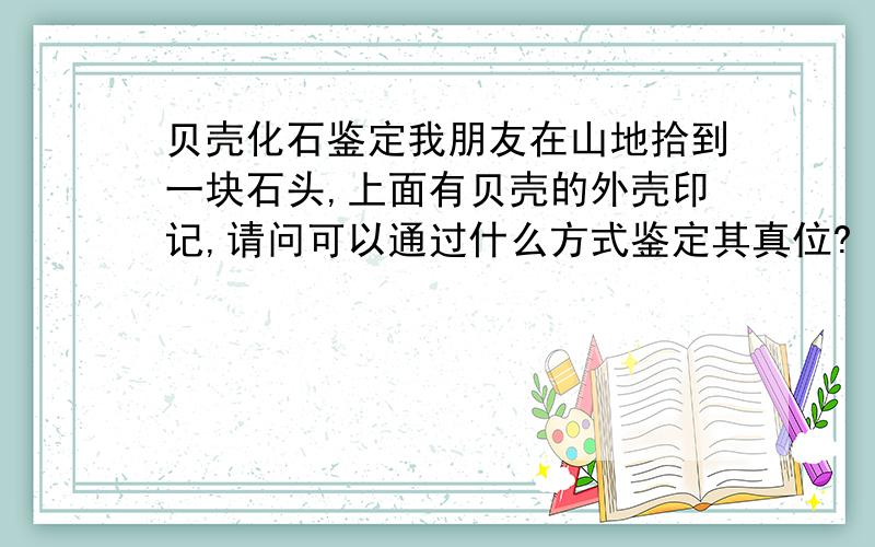 贝壳化石鉴定我朋友在山地拾到一块石头,上面有贝壳的外壳印记,请问可以通过什么方式鉴定其真位?