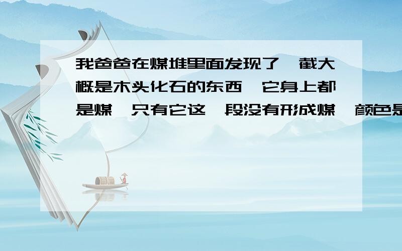 我爸爸在煤堆里面发现了一截大概是木头化石的东西,它身上都是煤,只有它这一段没有形成煤,颜色是树干色,但是很硬是石头的质地!请问下这个东西值钱吗~