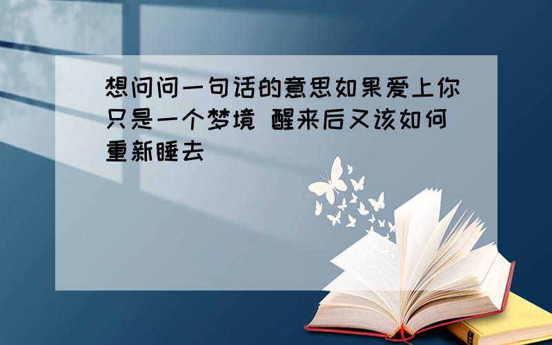 想问问一句话的意思如果爱上你只是一个梦境 醒来后又该如何重新睡去