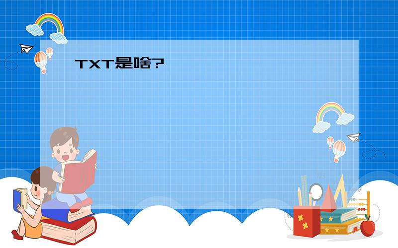 TXT是啥?