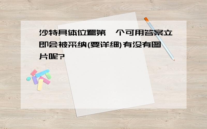 沙特具体位置第一个可用答案立即会被采纳(要详细)有没有图片呢?