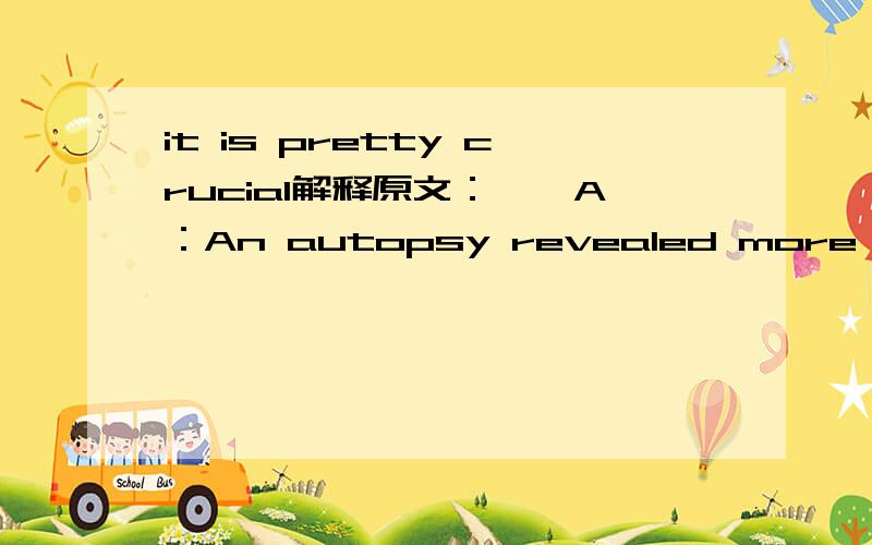 it is pretty crucial解释原文：——A：An autopsy revealed more bone fragments in the bear's stomach and intestine.——B:An autopsy on an animal is called necropsy.——A:Yeah,you know,it's pretty crucial翻译：A:验尸显示有更多的