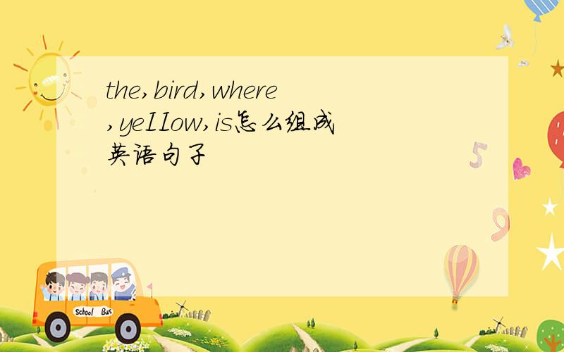 the,bird,where,yeIIow,is怎么组成英语句子