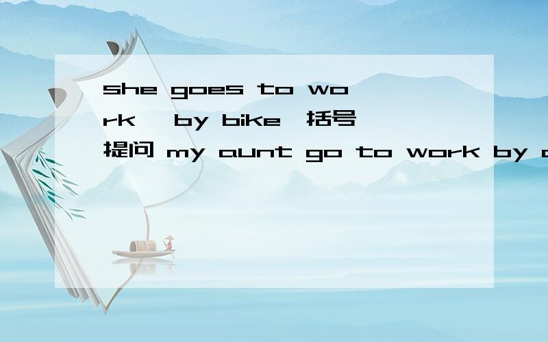 she goes to work 【by bike】括号提问 my aunt go to work by car改错 he like playing the violin改一般疑问句